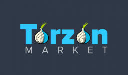 TORZON Logo